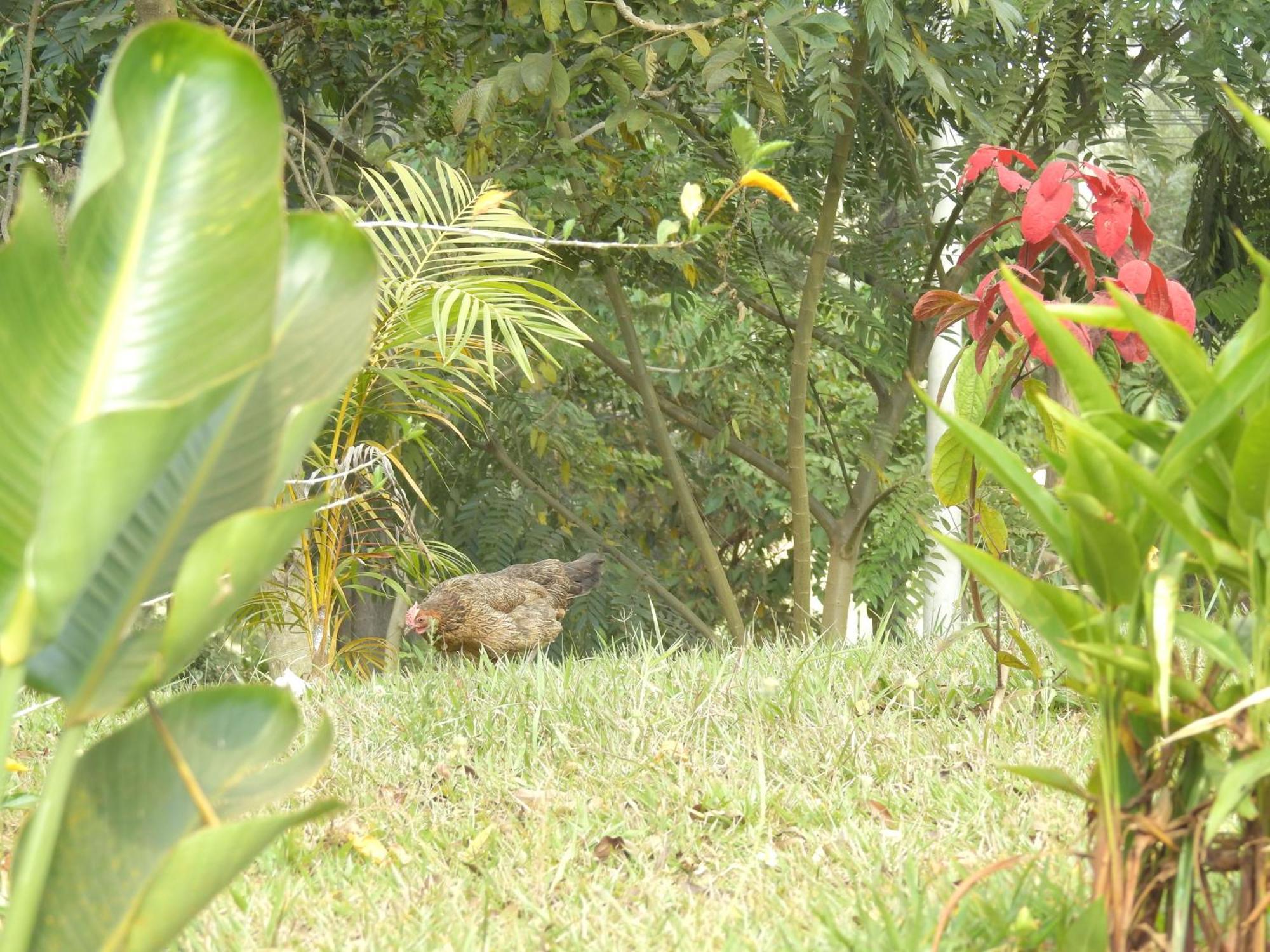 Appartamento Rwandeka Kigali Esterno foto